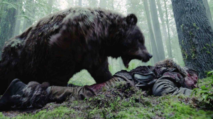 detail The Revenant - Blu-ray