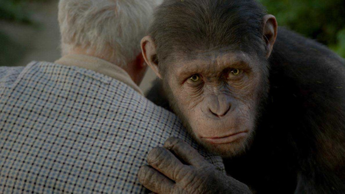 detail Rise of the Planet of the Apes - DVD