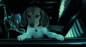 preview John Wick - Blu-ray