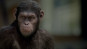 preview Rise of the Planet of the Apes - DVD