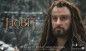 preview The Hobbit: The Battle of the Five Armies - Blu-ray
