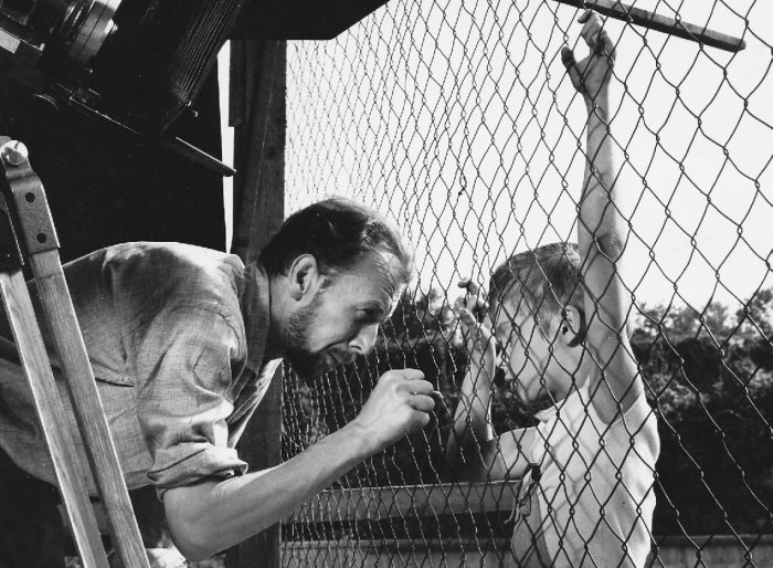 detail The White Dove - Blu-ray + DVD