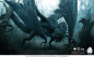 preview Jabberwocky - DVD