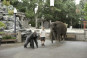 preview The Zookeeper - Blu-ray