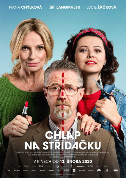 detail Chlap na střídačku - DVD