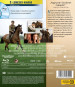 preview War Horse - Blu-ray