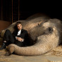 preview Water for Elephants - Blu-ray