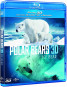 preview Polární medvědi - Blu-ray 3D + 2D