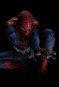 preview The Amazing Spider-Man - Blu-ray 3D + bonus disk