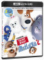 preview The Secret Life of Pets 2. - 4K Ultra HD Blu-ray + Blu-ray (2 BD)